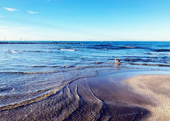 Σπίτι διακοπών Climatisee Proche 2 Independants Le Grau-dʼAgde